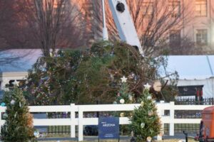 A toppled National Christmas Tree in Washington D.C. following strong winds